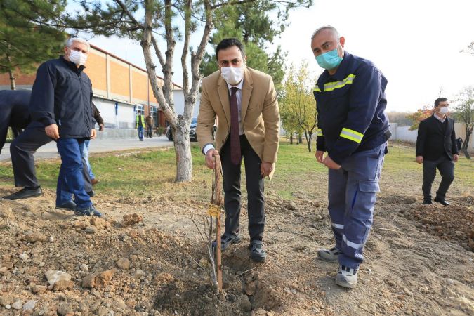 Ankara Su ve Kanalizasyon İdaresi 2 bin fidanı toprakla buluşturuyor 5