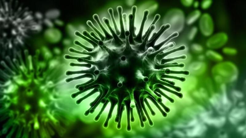 Ankara'da Koronavirüsten Çok Daha Tehlikeli Bir Şey Vardı! O Virüsün Tüm Detayları Belli Oldu! 3