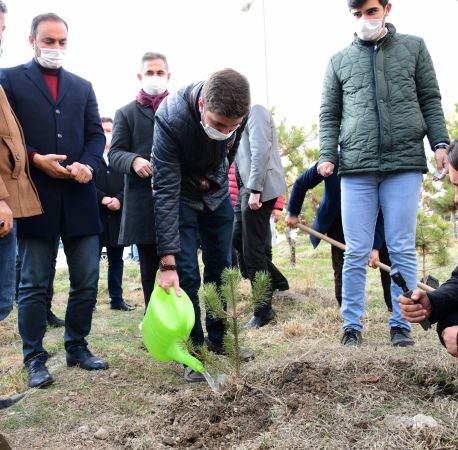 Başkan Köse, AK Parti Mamak İlçe Gençlik Kolları tarafından düzenlenen ağaç dikim etkinliğine katıldı 5