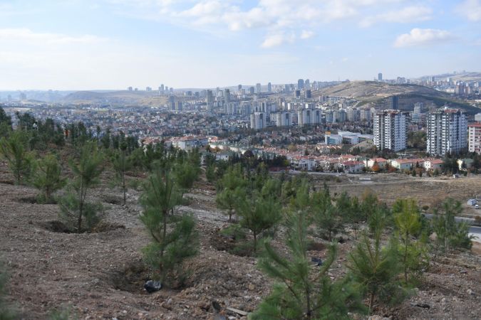 25 Kasım’da Anlamlı Açılış: Ceren Damar Şenel’in Adı Ankara’da Hatıra Ormanı ile Yaşayacak 2
