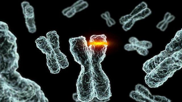 Akraba evliliklerine bağlı hastalıklarda "21 aday gen" keşfedildi 4