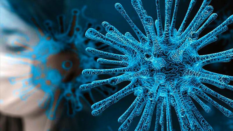 Koronavirüste son durum! Dünya genelinde vaka sayısı ve can kaybı kaç oldu? 29 Kasım 2020 1