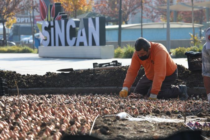 Ankara Sincan baharı rengarenk karşılamaya hazırlanıyor 2