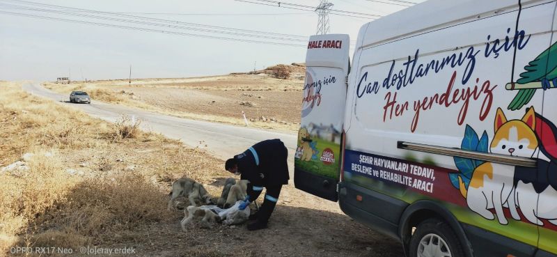 Ankara Sincan'da cadde ve sokaklar ilaçlanıyor, cami ve parklar dezenfekte ediliyor 2