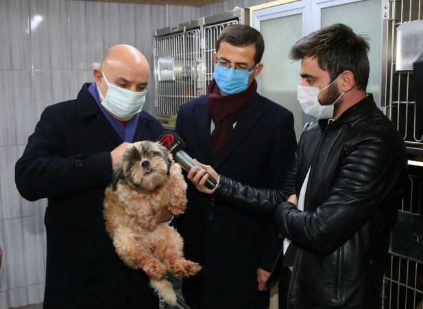 Ankara'da 68 adet cins köpeğe el koyulmuştu! Artık Keçiören Belediyesi korumasında yeni sahiplerini bekliyorlar... 1