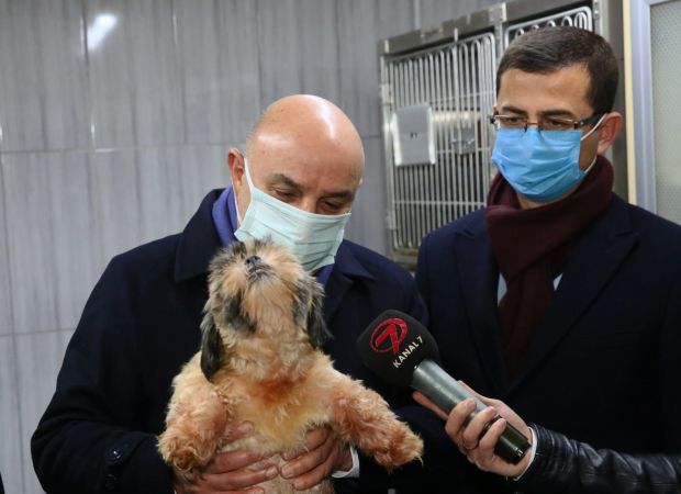 Ankara'da 68 adet cins köpeğe el koyulmuştu! Artık Keçiören Belediyesi korumasında yeni sahiplerini bekliyorlar... 4