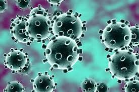 Koronavirüste son durum! Dünya genelinde vaka sayısı ve can kaybı kaç oldu? 4 Aralık 2020 1