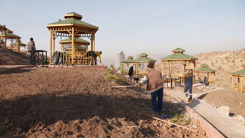 Ankara Kartaltepe Mesire Alanı sağlıklı günler için ağaçlandırılıyor 2