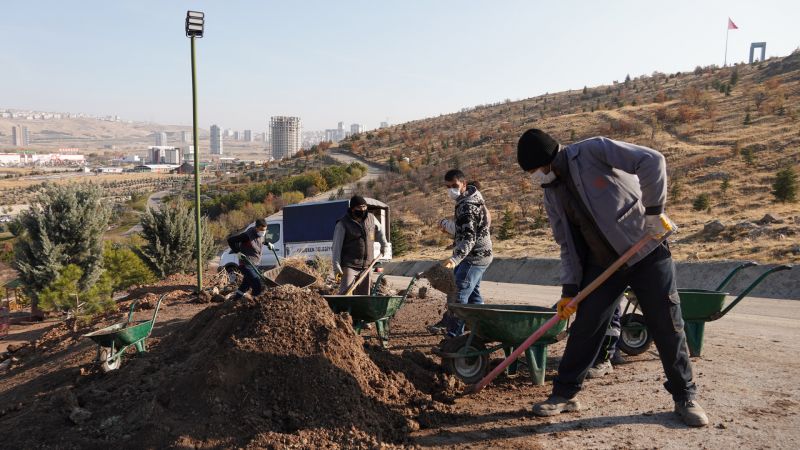 Ankara Kartaltepe Mesire Alanı sağlıklı günler için ağaçlandırılıyor 3
