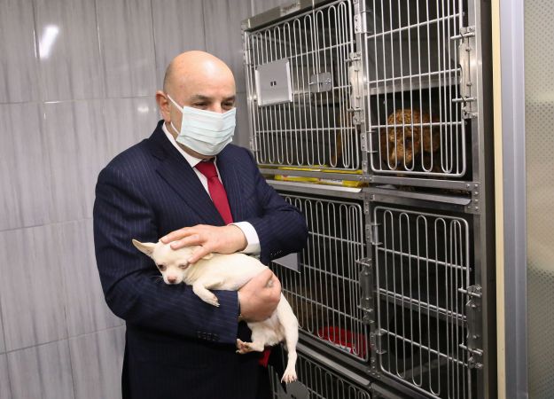Ankara Keçiören’deki köpekler tedavileri tamamlanınca sahiplendirilecek 1