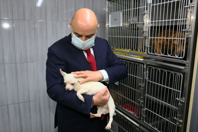 Ankara Keçiören’deki köpekler tedavileri tamamlanınca sahiplendirilecek 5