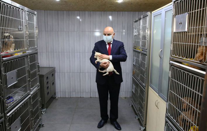 Ankara Keçiören’deki köpekler tedavileri tamamlanınca sahiplendirilecek 2