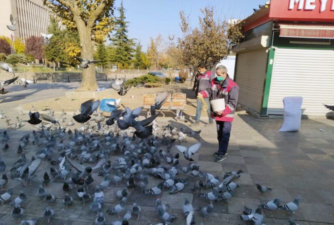 Ankara'da sokağa çıkma kısıtlamasında can dostlara besin desteği 13