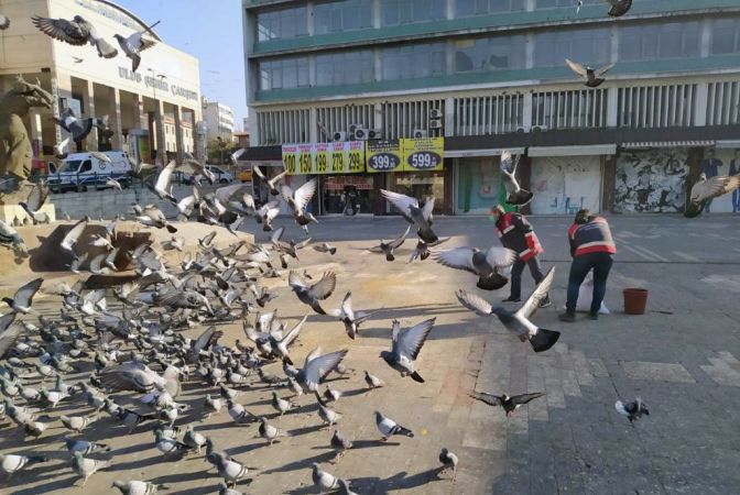 Ankara'da sokağa çıkma kısıtlamasında can dostlara besin desteği 15