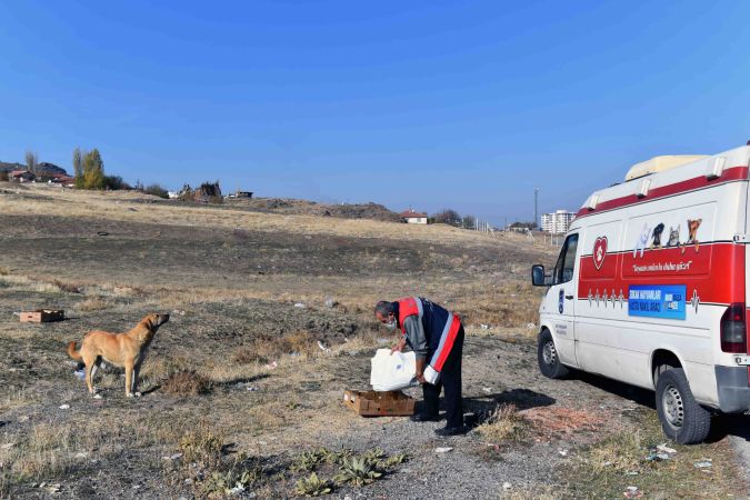 Ankara'da sokağa çıkma kısıtlamasında can dostlara besin desteği 7