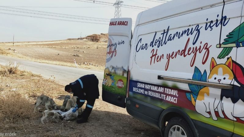 Ankara Sincan Belediyesi kısıtlama günlerinde de hijyen sağladı 5