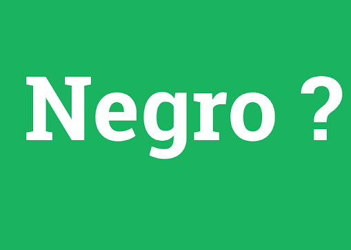 Medipol Başakşehir ırkçılık sonrası sahadan çekildi! Negro Ne Demek? Negro İngilizce Ve Türkçe Anlamı 3