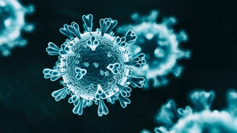 Koronavirüs Hastaları İçin Bir İlk! O Test Sayesinde Hastanın Durumu Daha Net Olacak! 1