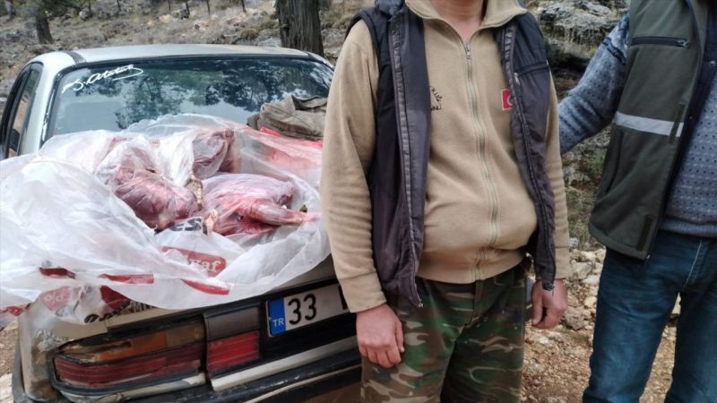 Mersin'de kaçak avcılara 31 bin lira ceza kesildi 1