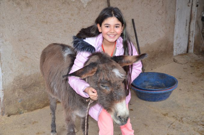 Kahramanmaraş'ta işkence edildiği iddia edilen eşek geçici olarak 10 yaşındaki çocuğa verildi 1