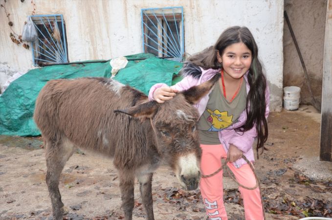 Kahramanmaraş'ta işkence edildiği iddia edilen eşek geçici olarak 10 yaşındaki çocuğa verildi 3