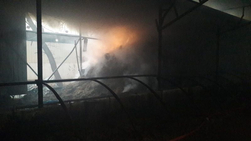 Bursa’da büyükbaş hayvan çiftliğinde çıkan yangına müdahale ediliyor 1