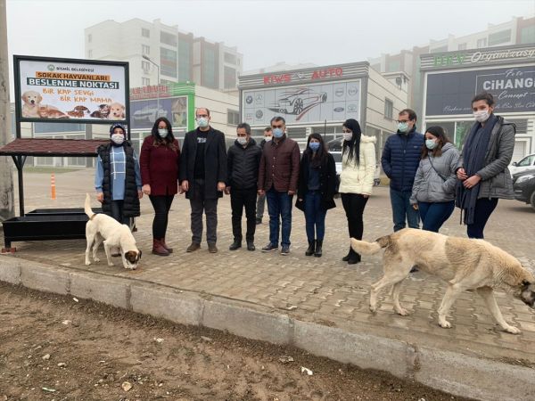 Diyarbakır'da kısıtlama sürecinde "sokak hayvanları" unutulmadı 2