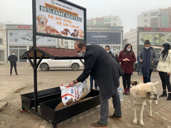 Diyarbakır'da kısıtlama sürecinde "sokak hayvanları" unutulmadı 7