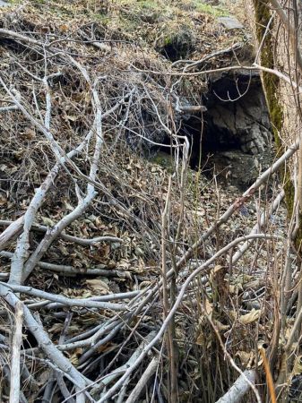 Bitlis'te PKK'lı teröristlere ait silah ve mühimmat ele geçirildi 14