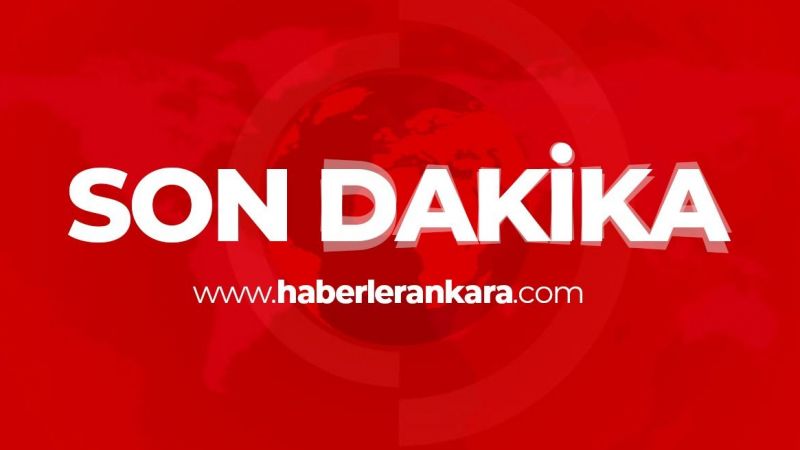 Aydın'da arazide mangal yakan 7 kişiye sokağa çıkma kısıtlamasını ihlal cezası 1