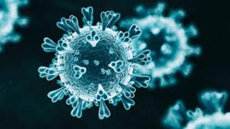 Virus-Variante VUI Mutasyon Ne Demektir? Koronavirüs Mutasyona Mı Uğradı? 2
