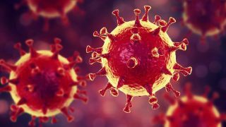 7 Soruda Corona Virüsünün Yeni Türü Nedir? Koronavirüste En başa mı dönüyoruz 3