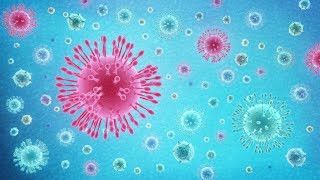 7 Soruda Corona Virüsünün Yeni Türü Nedir? Koronavirüste En başa mı dönüyoruz 2