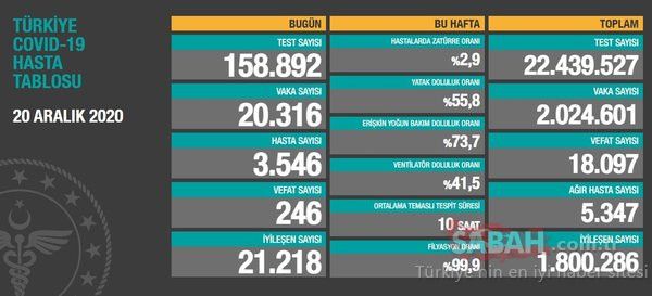 22 Aralık Türkiye koronavirüs tablosu! Ankara’da vaka sayısı kaç oldu? İşte 24 saatte yaşananlar 3