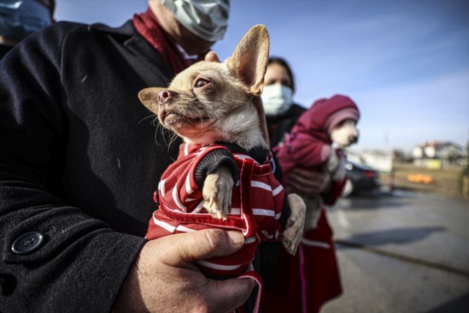 Ankara'da ses telleri kesilen köpeklerler sahiplendirilecek 9