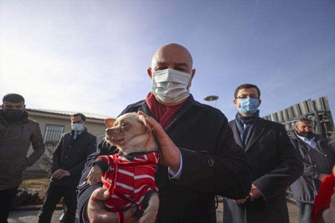 Ankara'da ses telleri kesilen köpeklerler sahiplendirilecek 10