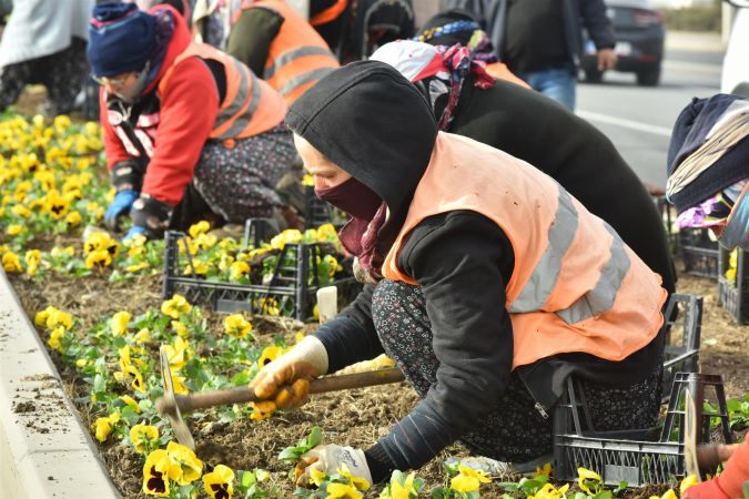 Ankara kış aylarında hercai menekşe kokacak! Başkent'in Kışı da Rengarenk 9