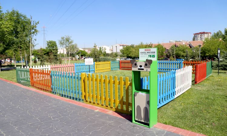 Ankara Çankaya parklarında köpeklere de yer var 1