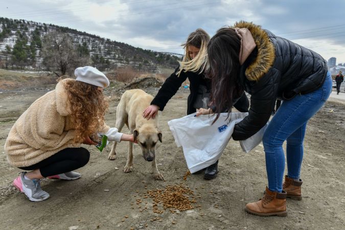Ankara Büyükşehir’in hayvan dostu uygulamaları devam ediyor 11