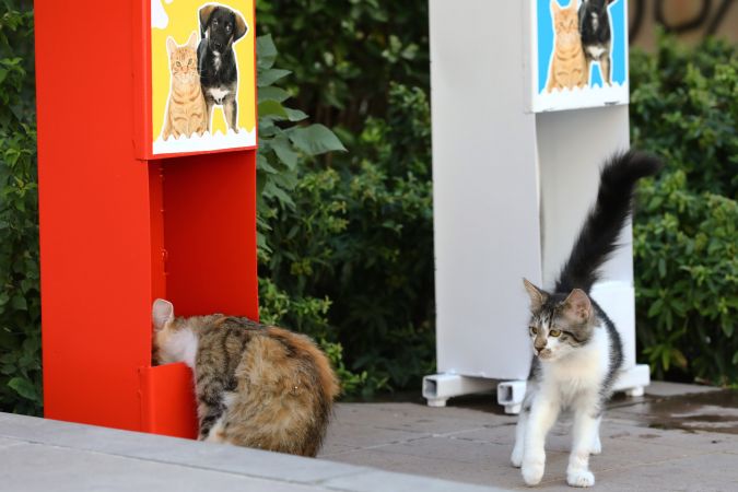 Keçiören’de Kedi Ve Köpekler İçin Mama İstasyonları Kuruldu 3