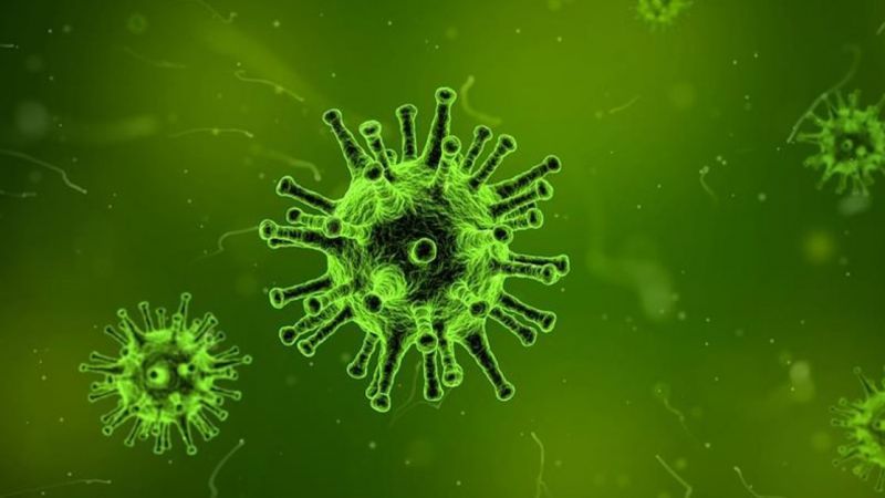 Bilim İnsanlarının Yeni Uyarısı Artık Yeter Dedirtti! Nipah Virüsü Nedir, Belirtileri Nelerdir? Aşısı Var Mı? 3