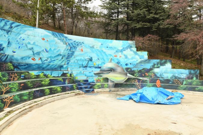 Başkent parkları grafitti sanatçılarına açıldı: Botanik park renklendi 1