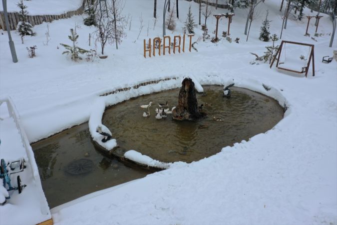 Sivas'ta kar altındaki "Hobbit Evleri" ilgi görüyor 3