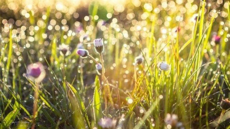 Birinci Cemre Ne Zaman Düşecek? 2021 Cemre Tarihleri? 2