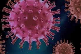 Ankara Koronavirüs Salgınında Kabus Gibi Gerçek Ortaya Çıktı! Mutasyonlu Virüs Milyonların Korkusu Oldu! Aşılama... 2