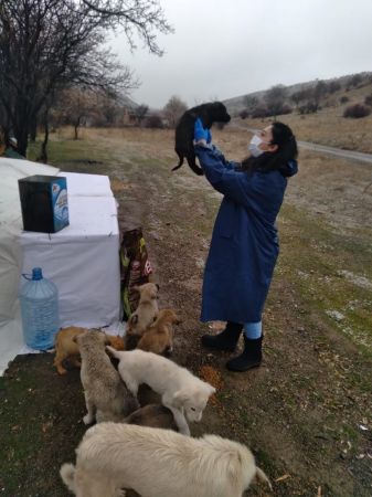 Pursaklar Belediyesi Soğuk Kış Günlerinde Can Dostlarını Yalnız Bırakmıyor 2