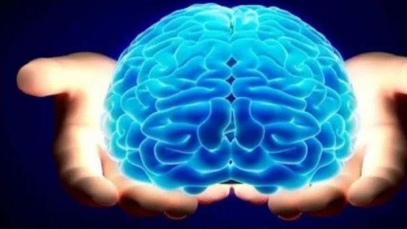 Analitik Zeka Ne Demek ve Analitik Düşünme Nedir? Analitik Zeka Türü İle İlgili Bilgiler 3
