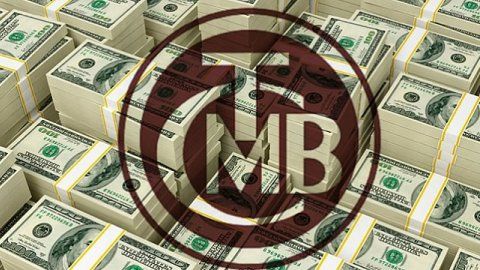 Merkez Bankasından Sürpriz Haber: Dolar Rezervi O Seviyeyi Gördü! 2