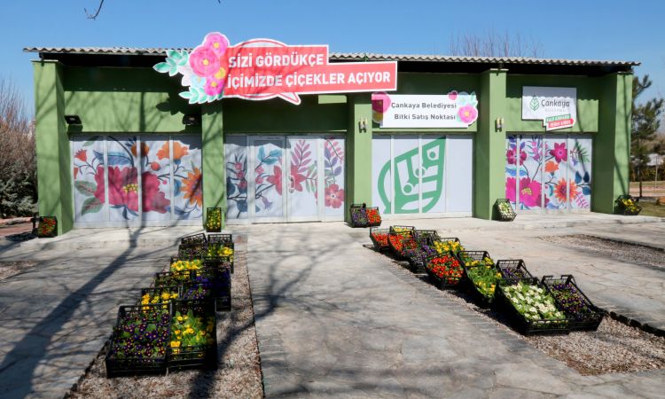 Çankaya Belediyesinden Çiçek Satış Mağazası 1