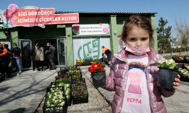 Çankaya Belediyesinden Çiçek Satış Mağazası 3